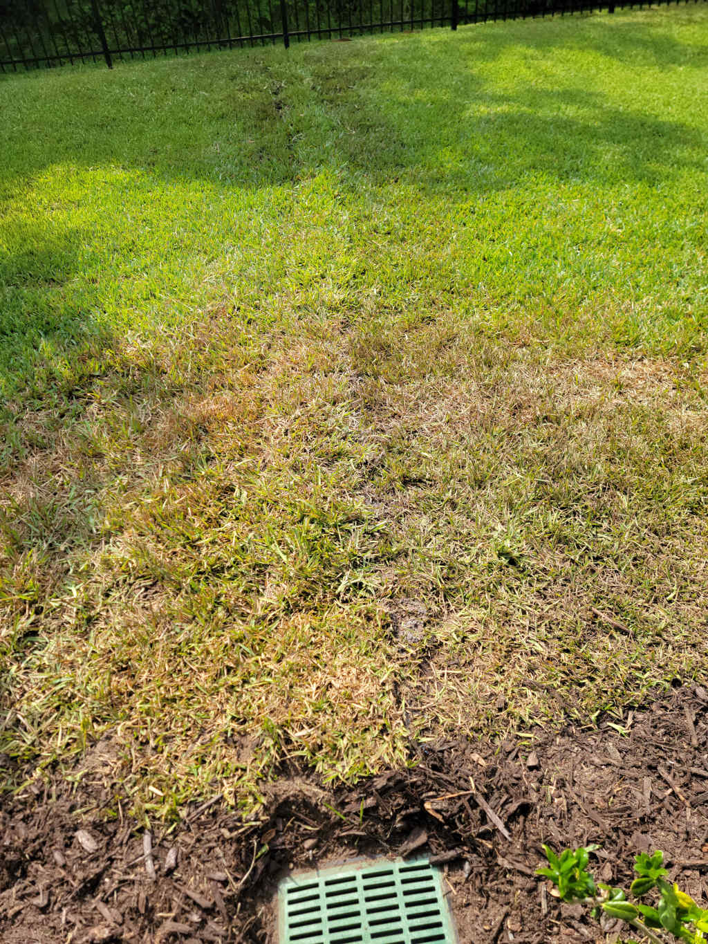 Sprinkler System Installation Specials
