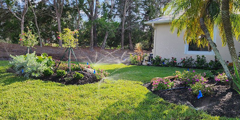 A Lush Green Oasis: Mastering St. Augustine Grass Watering in Southwest Florida