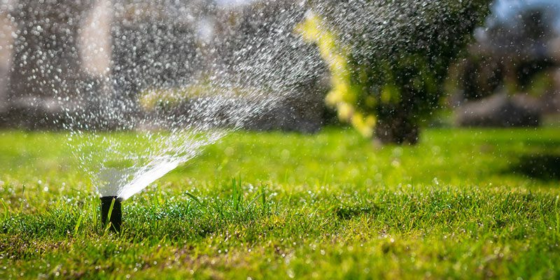 Understanding the Importance of Sprinkler Repair