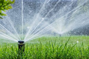 3 Reasons to Invest in a Lawn Irrigation System