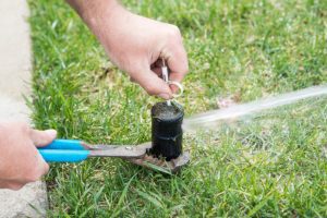 How to Tell if You Need Sprinkler Repair Services