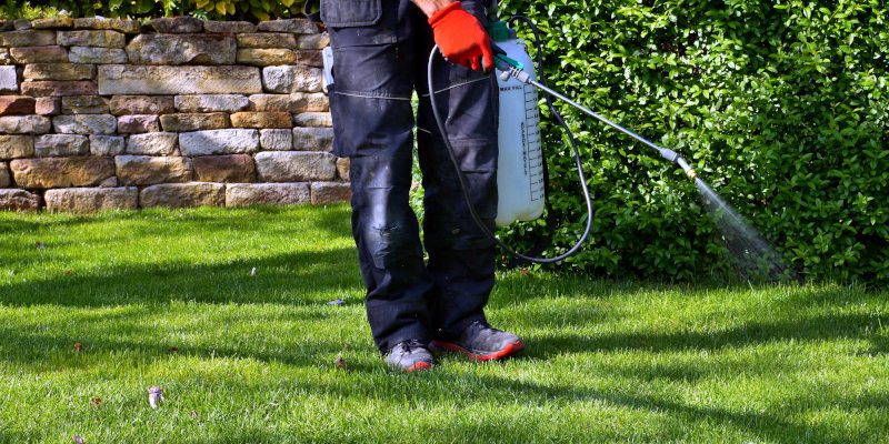 Benefits of Turf Pest Control