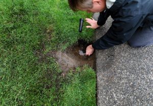 Sprinkler Replacement: How to Tell When You Need New Sprinklers
