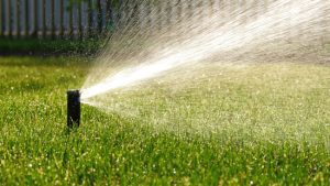 Identifying Your Needs for a New Sprinklers Setup