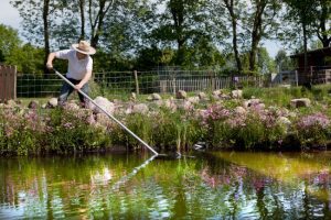 Why You Need Pond Cleaning Services