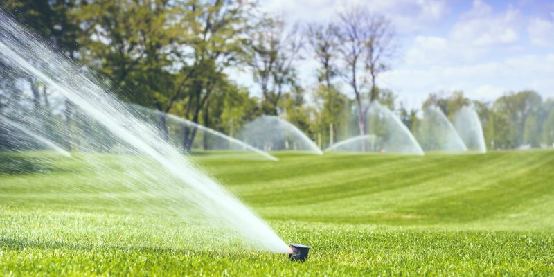 Fountain Maintenance in Lakewood Ranch, Florida